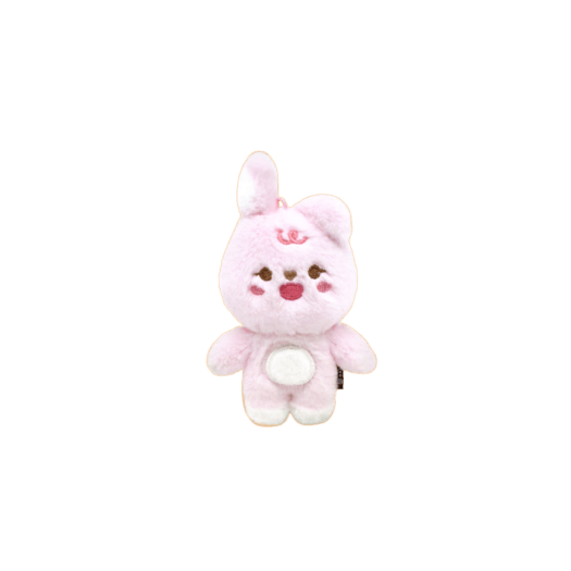 DAY6 Petit Denimalz Plush Pil 10cm Ver. - OUR K - POP
