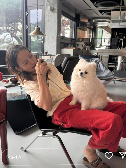 Lee Hyori Shares Refreshing Snapshot of Her Jeju Island Life Amid Upcoming Move to Seoul